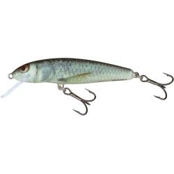 Wobler MINNOW SDR 7cm 7g REAL DACE